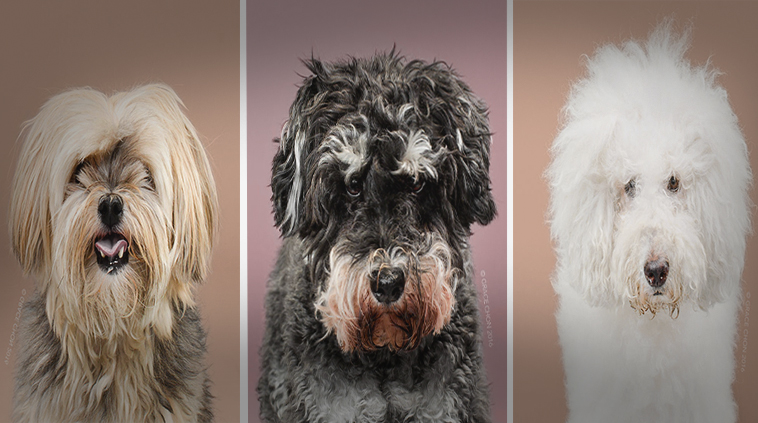 Zdroj: www.boredpanda.com