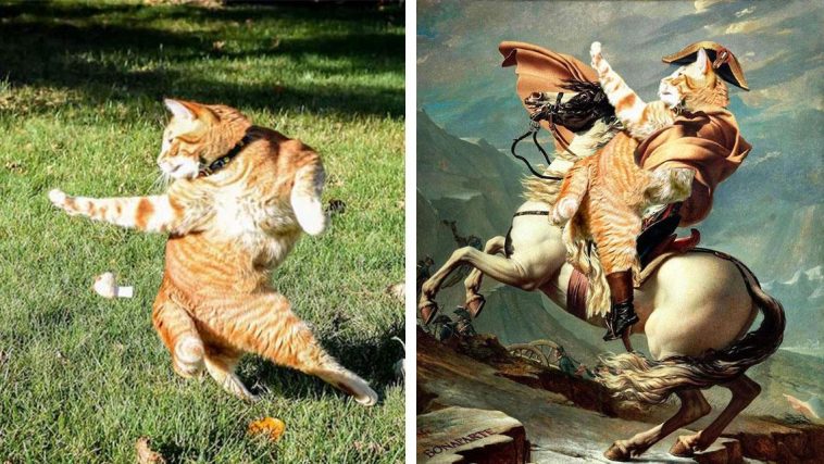 zdroj: sobadsogood.com