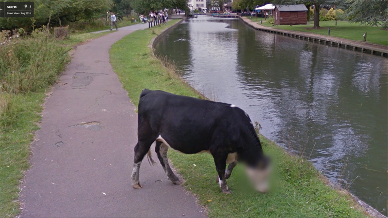 http://www.pcadvisor.co.uk/feature/internet/22-funny-google-street-view-pictures-privacy-conscious-cows-idg-staff-boozing-113719/