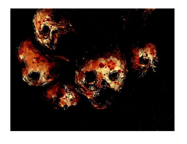 Zdroj : boredpanda.com