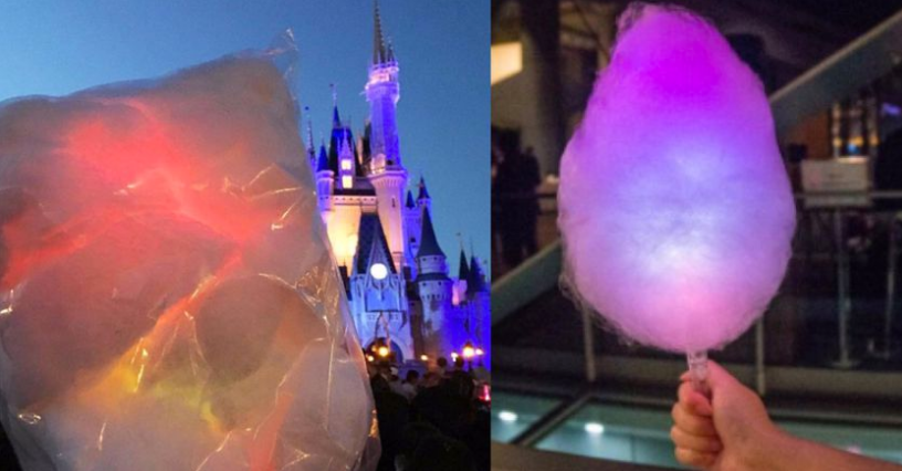 Zdroj : distractify.com