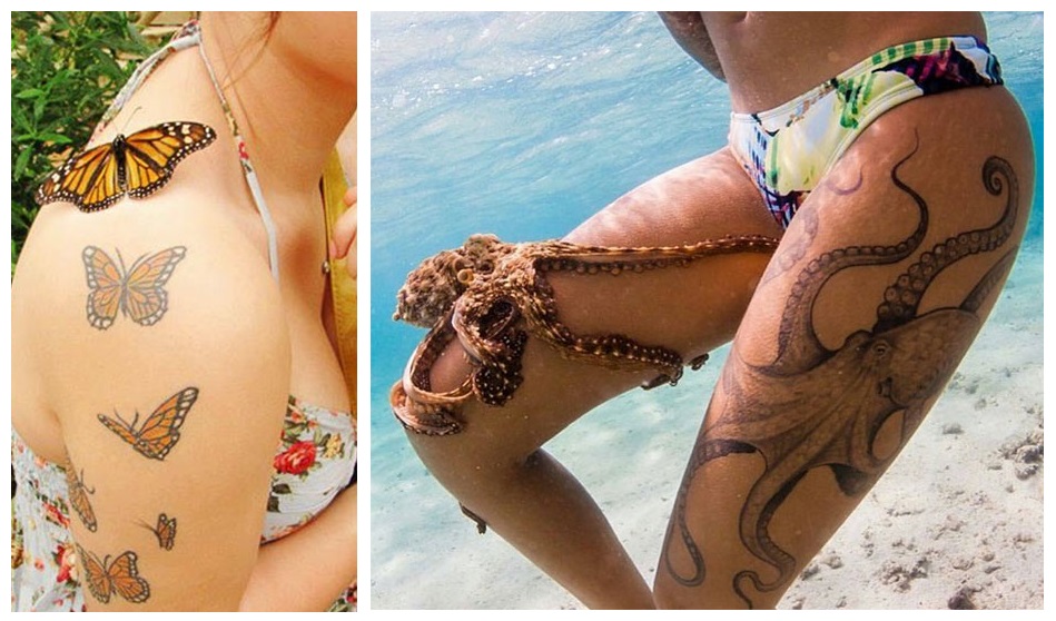 Zdroj : boredpanda.com