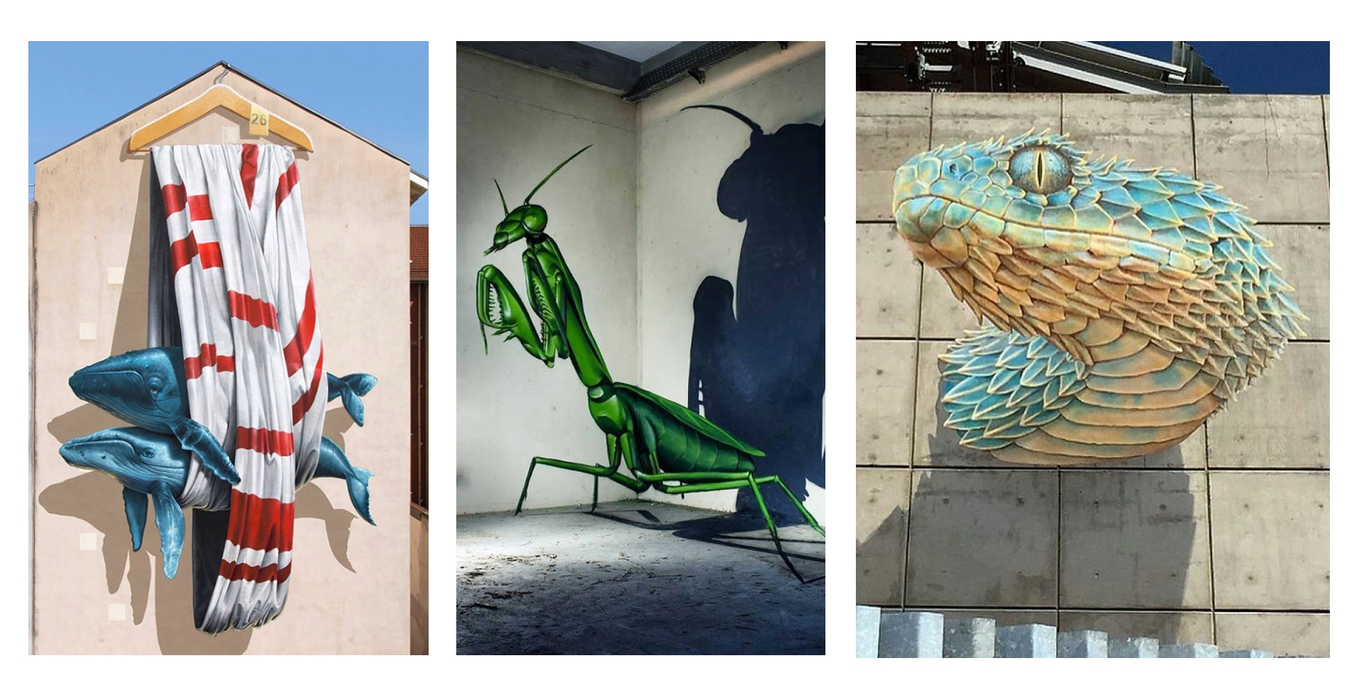 Zdroj : brightside.me