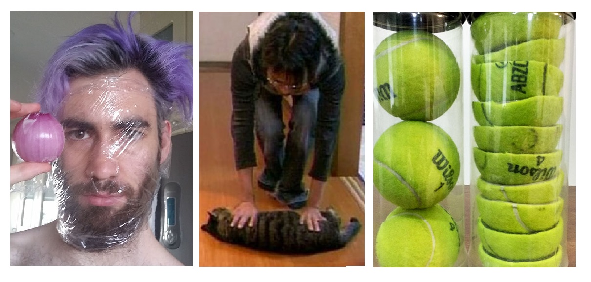 Zdroj : boredpanda.com