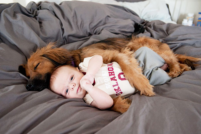 http://www.bocalista.com/animales-20-adorables-fotos-que-muestran-por-que-todos-los-ninos-deben-crecer-con-un-perro/1/