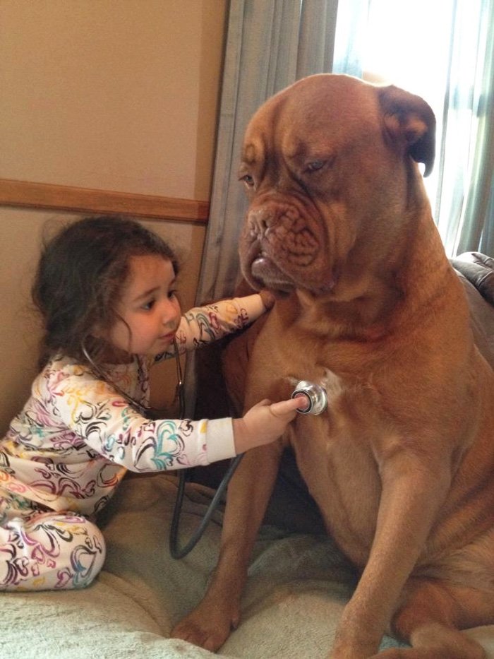 http://www.bocalista.com/animales-20-adorables-fotos-que-muestran-por-que-todos-los-ninos-deben-crecer-con-un-perro/1/