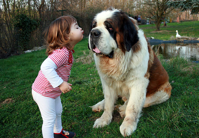 http://www.bocalista.com/animales-20-adorables-fotos-que-muestran-por-que-todos-los-ninos-deben-crecer-con-un-perro/1/
