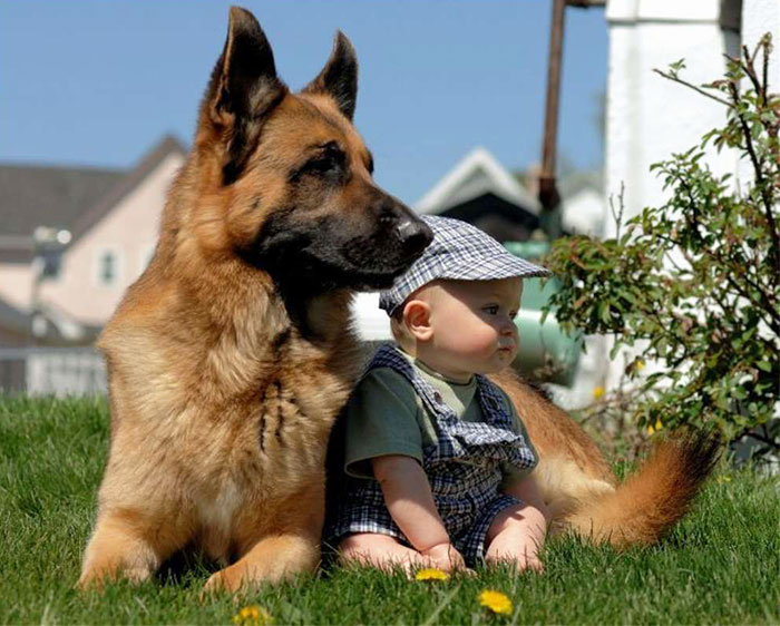 http://www.bocalista.com/animales-20-adorables-fotos-que-muestran-por-que-todos-los-ninos-deben-crecer-con-un-perro/1/
