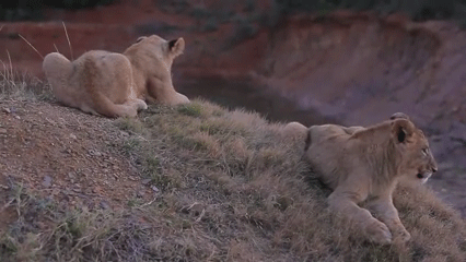 zdroj: boredpanda.com