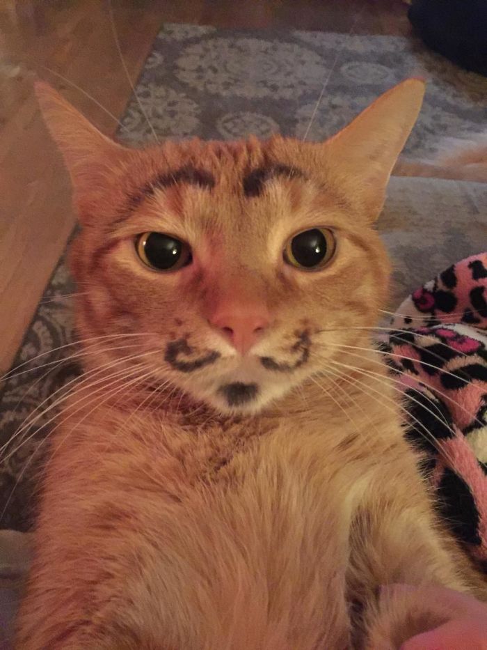 Zdroj: boredpanda.com
