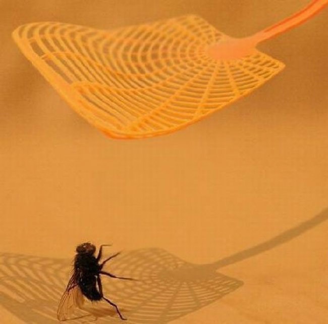 Zdroj: happysheldon.com