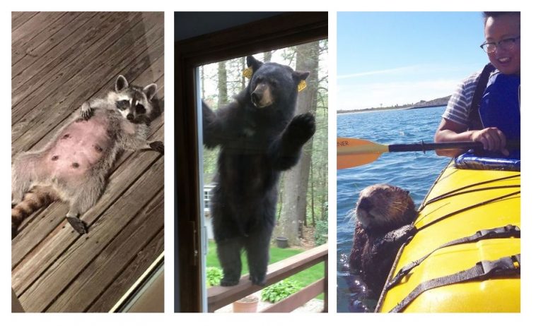 Zdroj : boredpanda.com