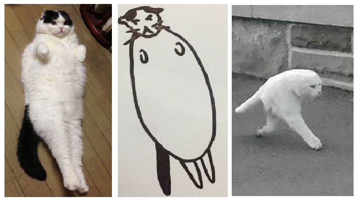 Zdroj : boredpanda.com