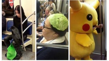 Zdroj : boredpanda.com