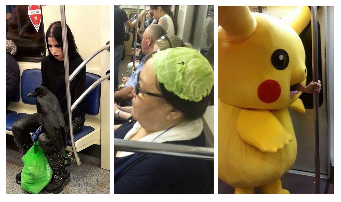 Zdroj : boredpanda.com