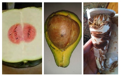 Zdroj : boredpanda.com