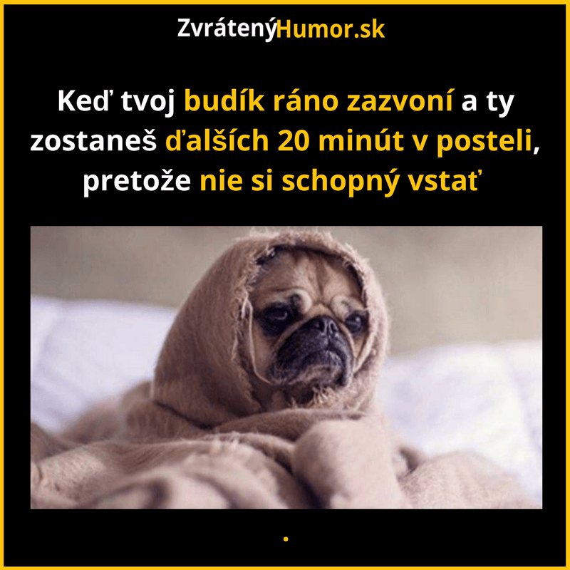 zdroj: zvratenyhumor.sk