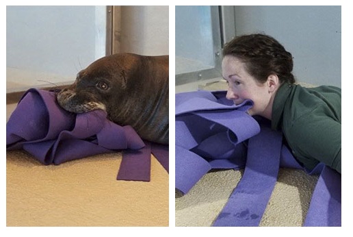 Zdroj : boredpanda.com