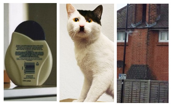 Zdroj : jenpromuze.cz