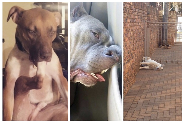 Zdroj : brightside.me