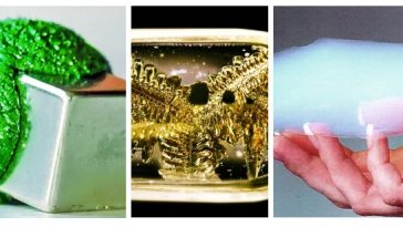 Zdroj : brightside.me