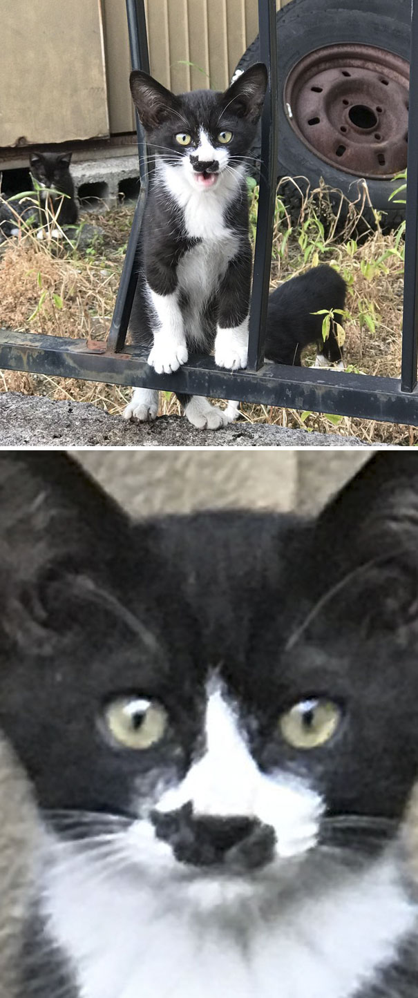 Zdroj : boredpanda.com