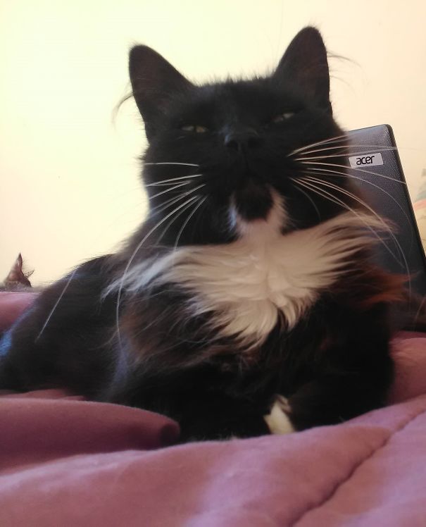 Zdroj : boredpanda.com