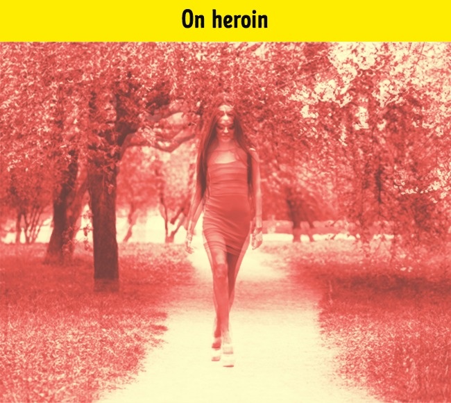 Zdroj : brightside.me