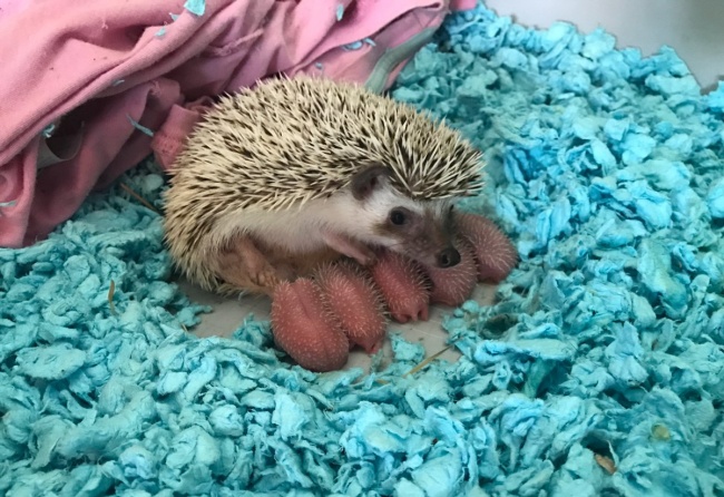 Zdroj : brightside.me