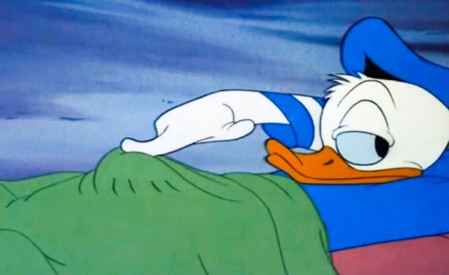 Zdroj : brightside.me