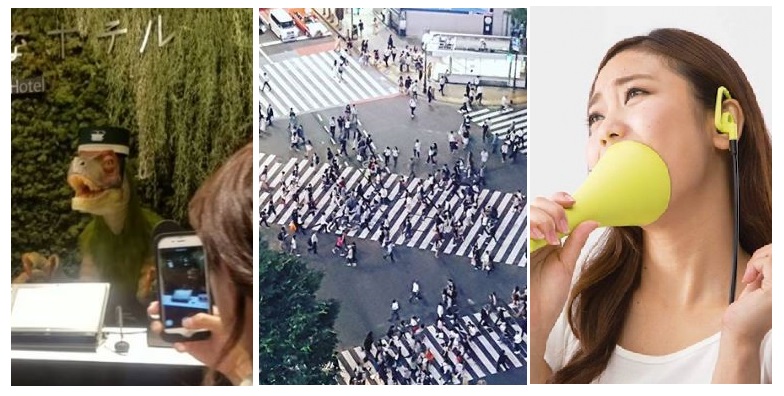 Zdroj : brightside.me