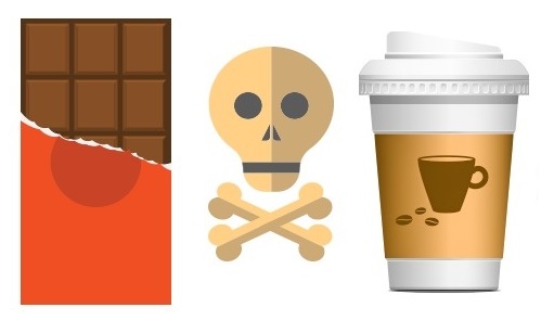 Zdroj : brightside.me