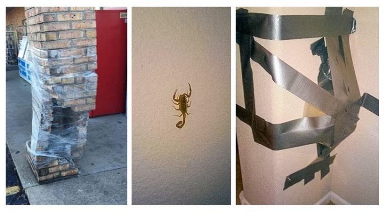 Zdroj : brightside.me