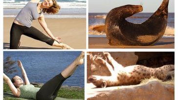 Zdroj : wildammo.com