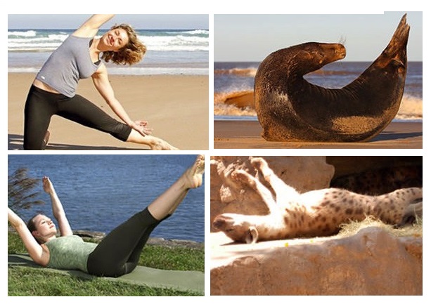 Zdroj : wildammo.com