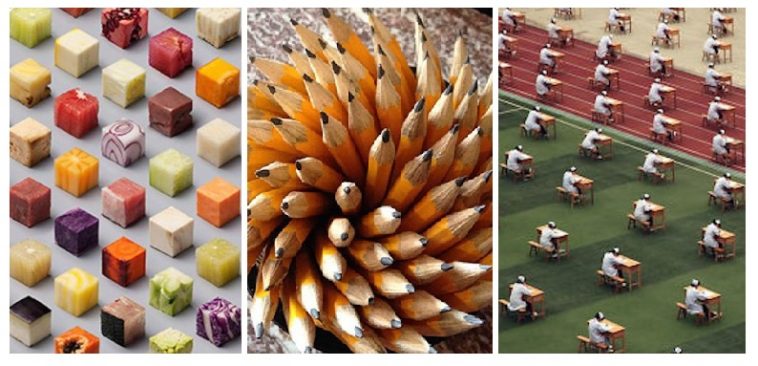 Zdroj : wildammo.com