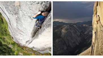 Zdroj : wildammo.com