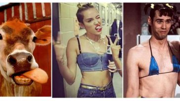 Zdroj : wildammo.com