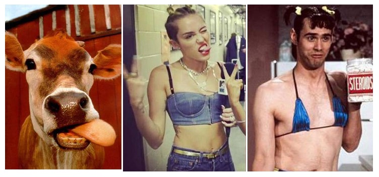 Zdroj : wildammo.com