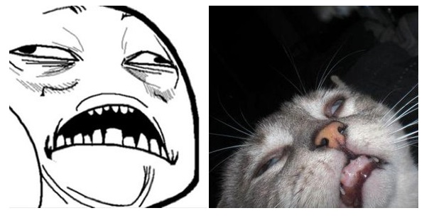 Zdroj : wildammo.com