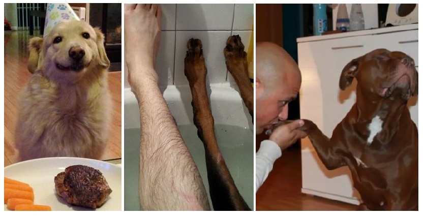 Zdroj : boredpanda.com