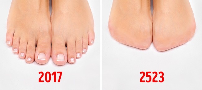 Zdroj : brightside.me