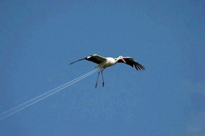 Zdroj: roger.autoskola-svitavy.cz