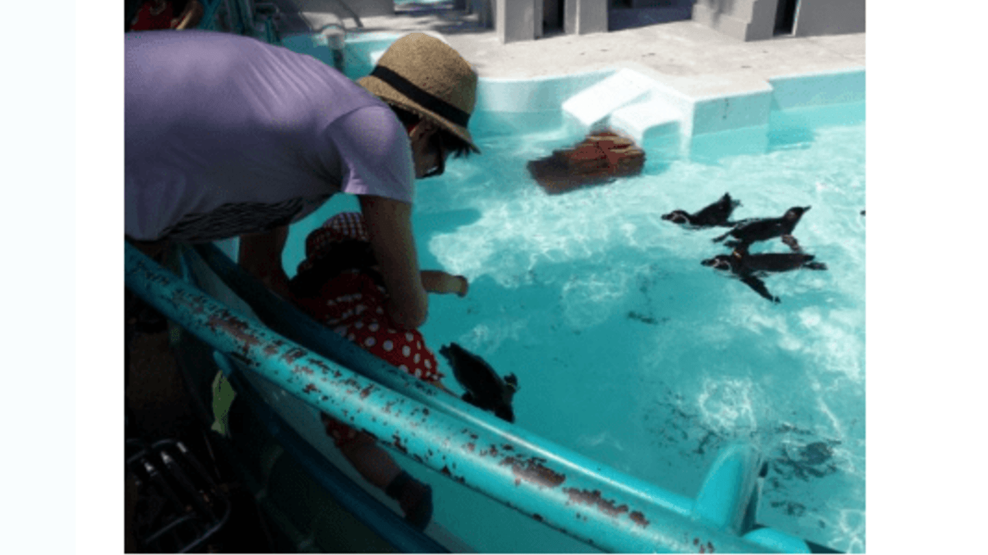 Zdroj : coolmagazin.iprima.cz