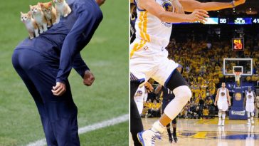 zdroj:sobadsogood.com