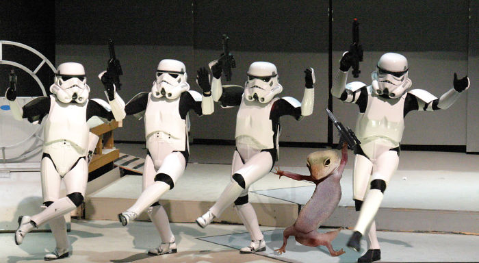 Zdroj : boredpanda.com