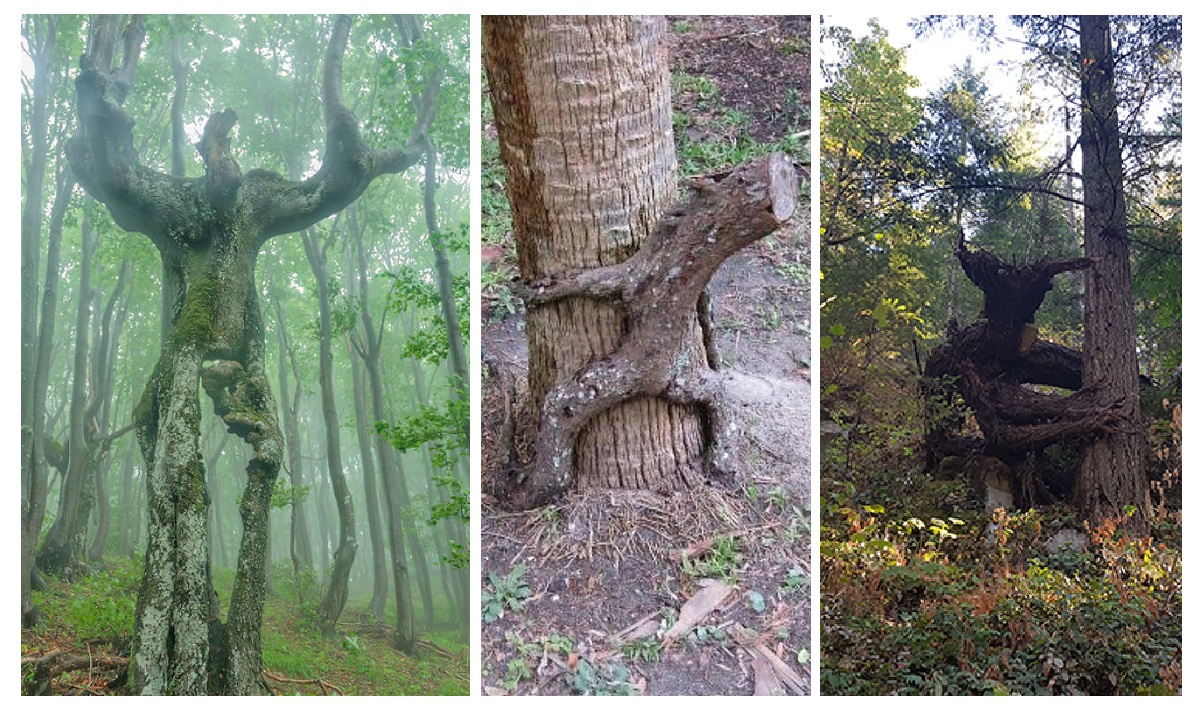 Zdroj : boredpanda.com