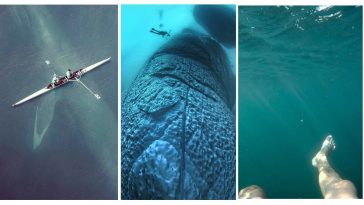 Zdroj : lifebuzz.com