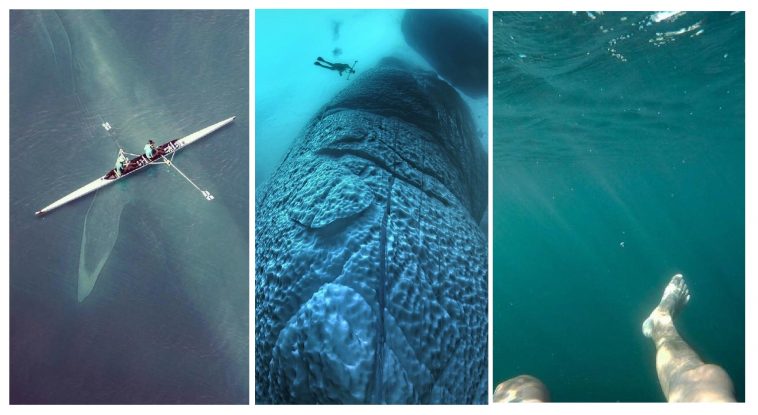 Zdroj : lifebuzz.com