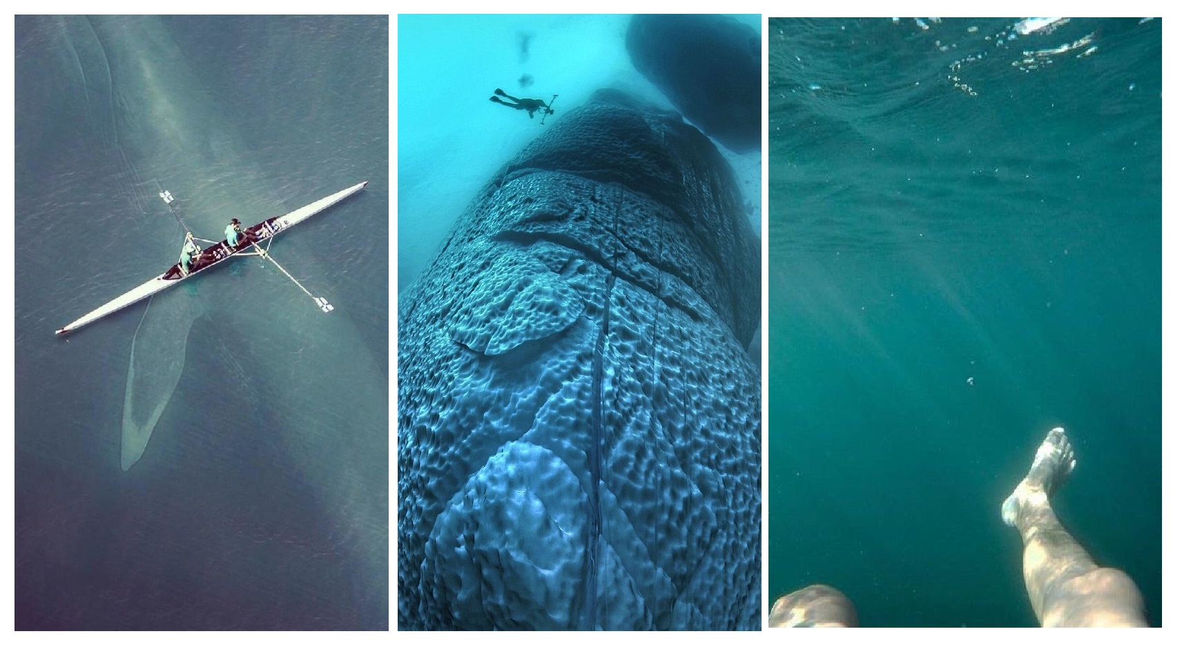 Zdroj : lifebuzz.com